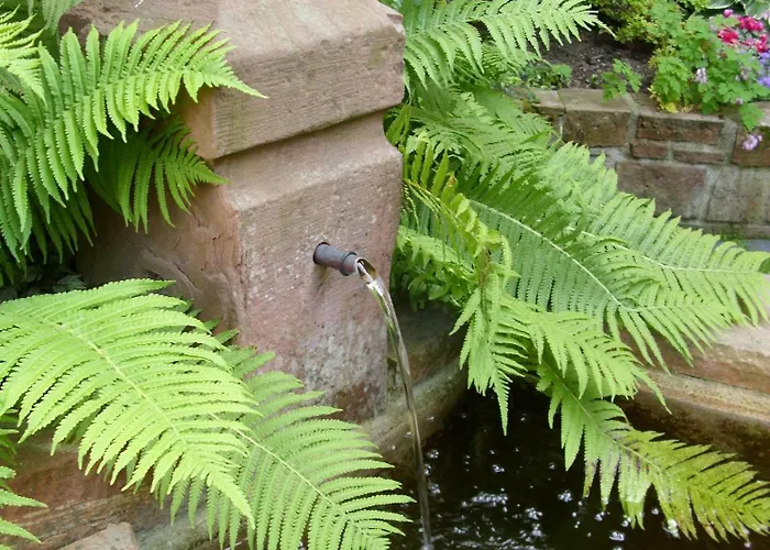 Familie Scheibel * Bad Vilbel